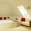 loft conversion 1